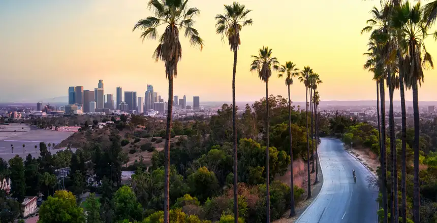Palmengesäumte Straße in Los Angeles mit Skyline, Kalifornien