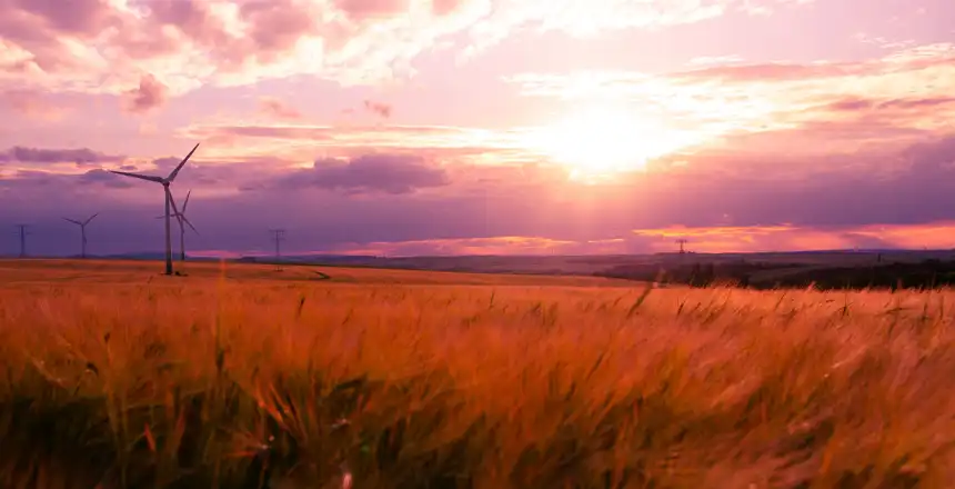 Idyllische Natur mit Feldern und Windr&auml;dern in der N&auml;he von Erfurt