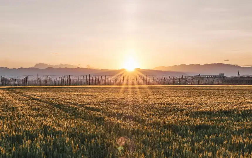 Slowenische Weinregion um Žalec
