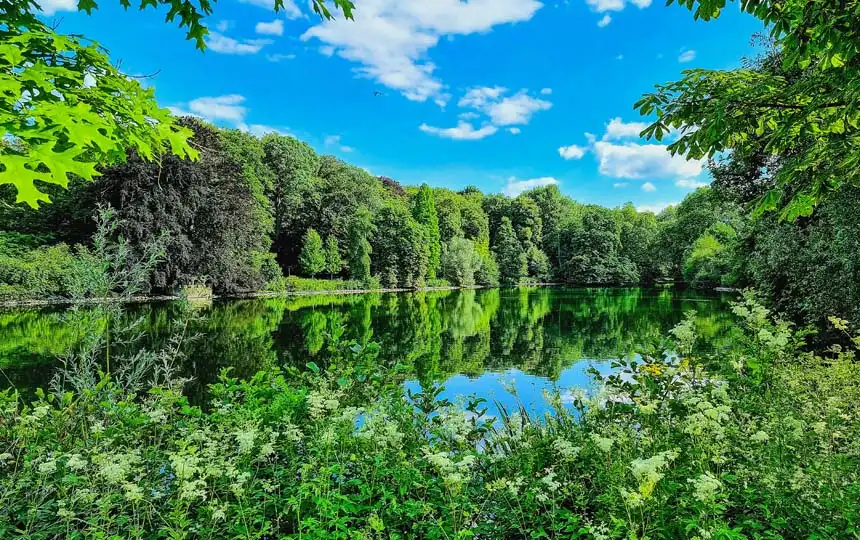 Rombergpark in Dortmund
