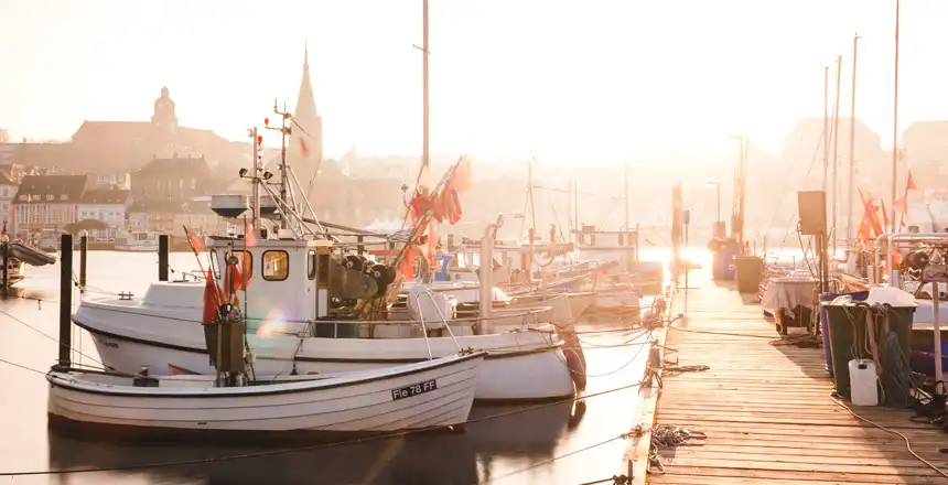 Boote am Steg im Abendlicht vor der Kulisse von Flensburg