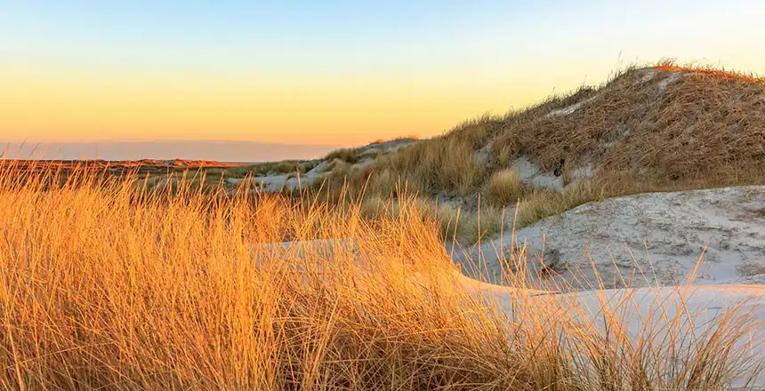 Wattmeer und Sandd&uuml;nen an der Nordsee, Deutschland