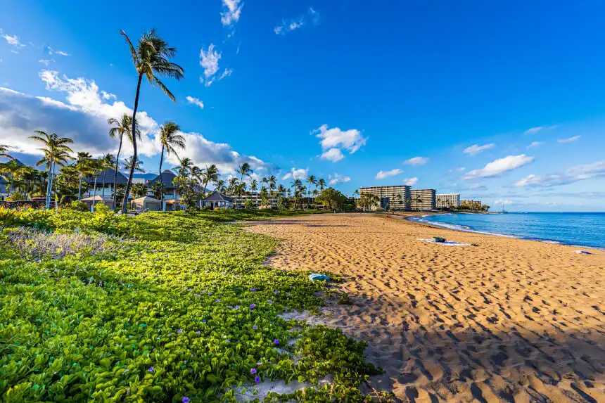 maui-hawaii-usa-benjamin-rascoe-unsplash-860 maui hawaii usa benjamin rascoe unsplash