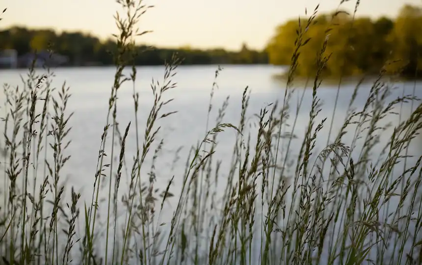 Naherholungsgebiet Kiessee in G&ouml;ttingen