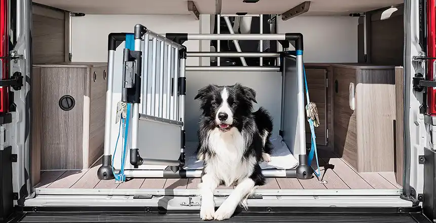 86664a95d705-hundebox-eurocaravaning-vantourer Hund sicher transportieren im Wohnmobil, Hundebox