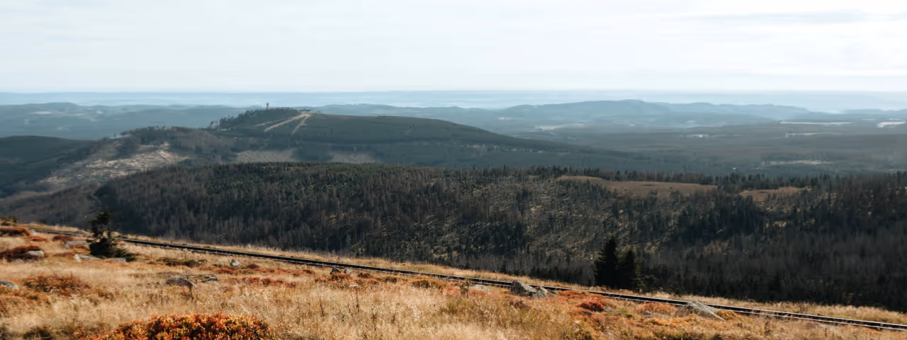 Panoramasicht über den Hartz