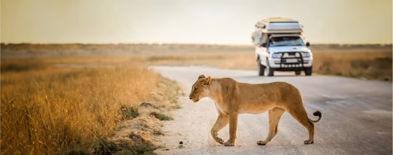 Südafrika mit Wohnmobil
