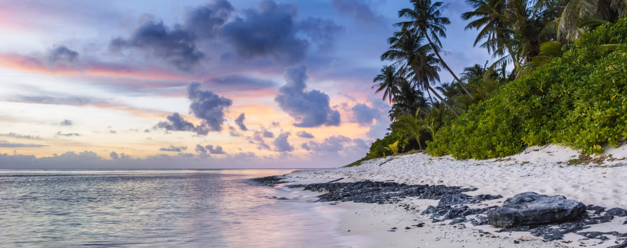 Strand mit Palmen auf Hawaii, USA